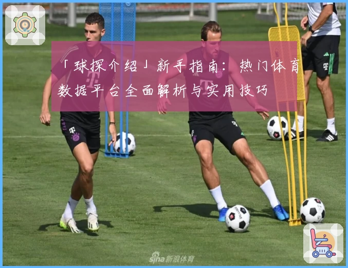 「球探介绍」新手指南：热门体育数据平台全面解析与实用技巧