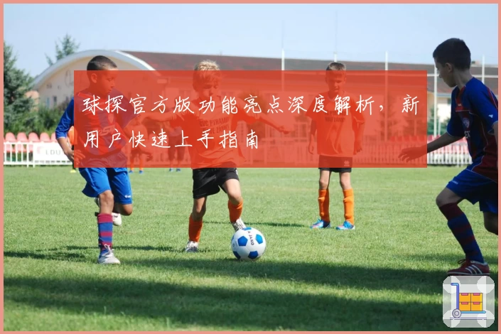 球探官方版功能亮点深度解析，新用户快速上手指南