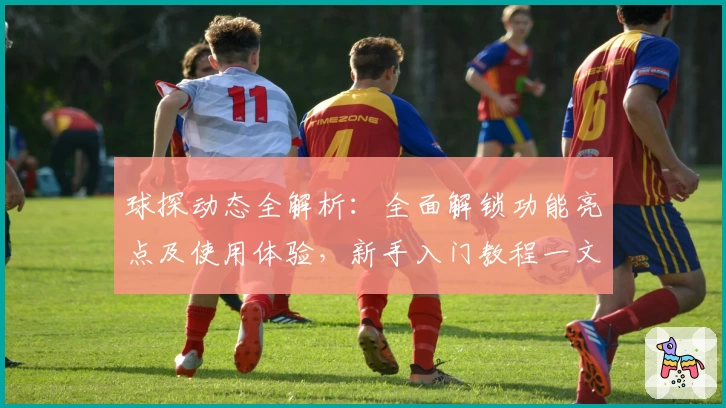 球探动态全解析：全面解锁功能亮点及使用体验，新手入门教程一文掌握