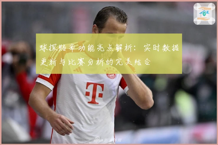 球探赔率功能亮点解析：实时数据更新与比赛分析的完美结合